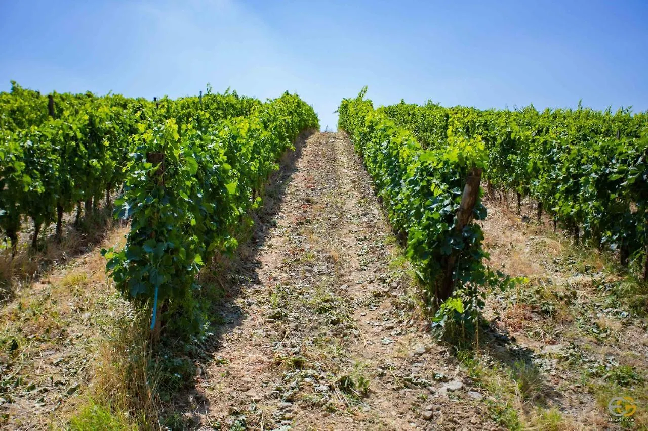 Terre Di Melazzano - Le Case Di Patrizia Greve in Chianti Italien