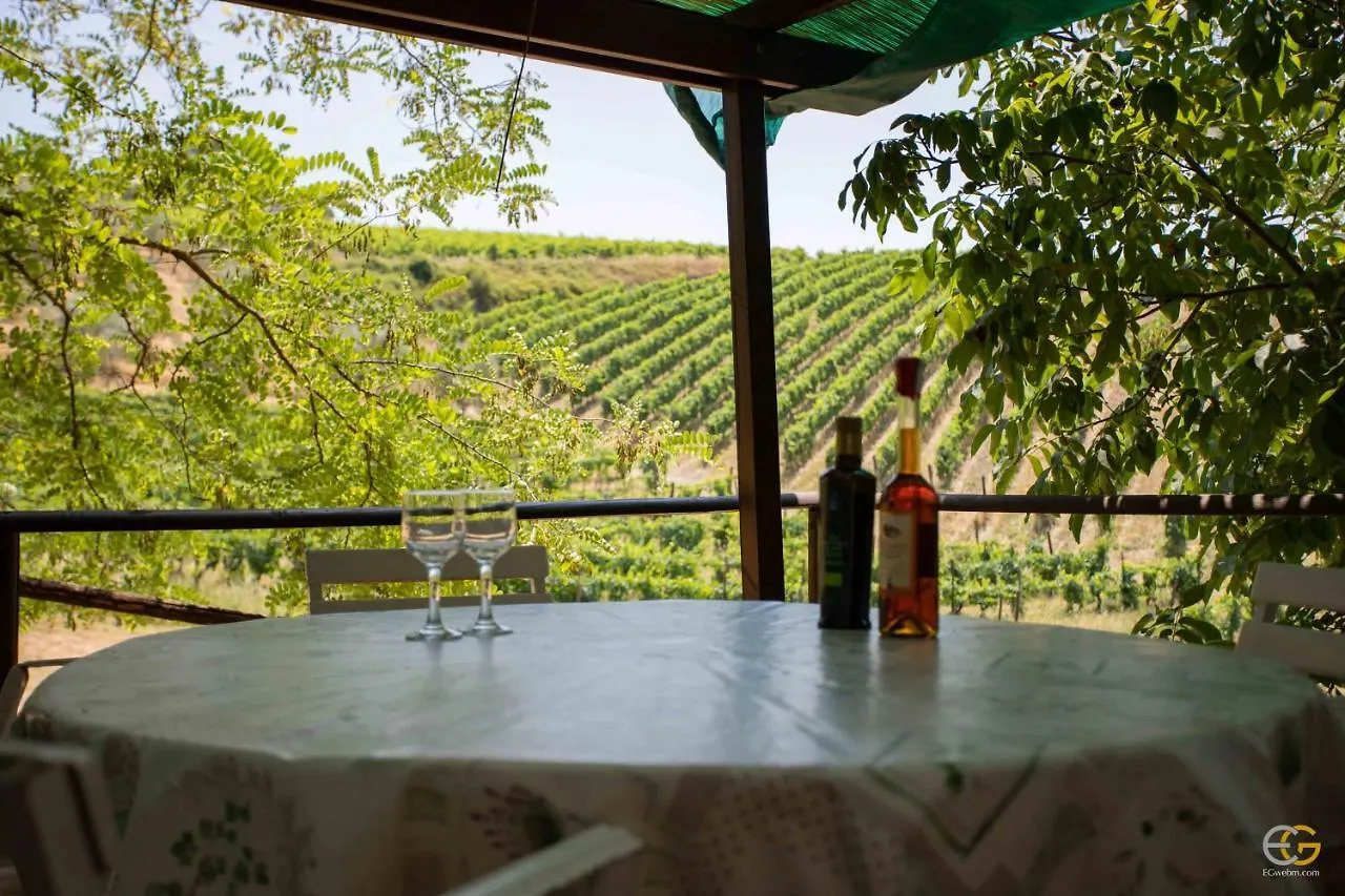 Terre Di Melazzano - Le Case Di Patrizia Greve in Chianti Bauernhof
