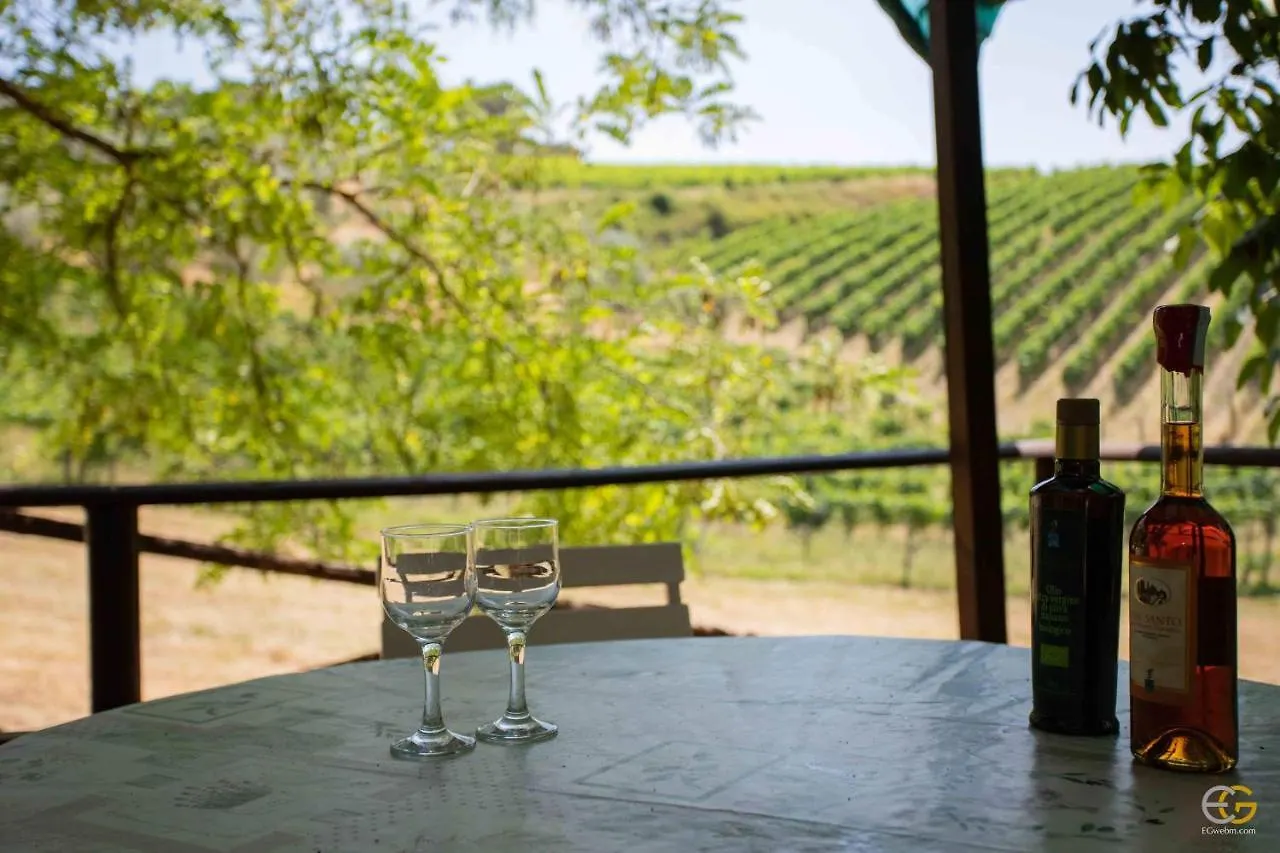 Terre Di Melazzano - Le Case Di Patrizia Greve in Chianti Bauernhof