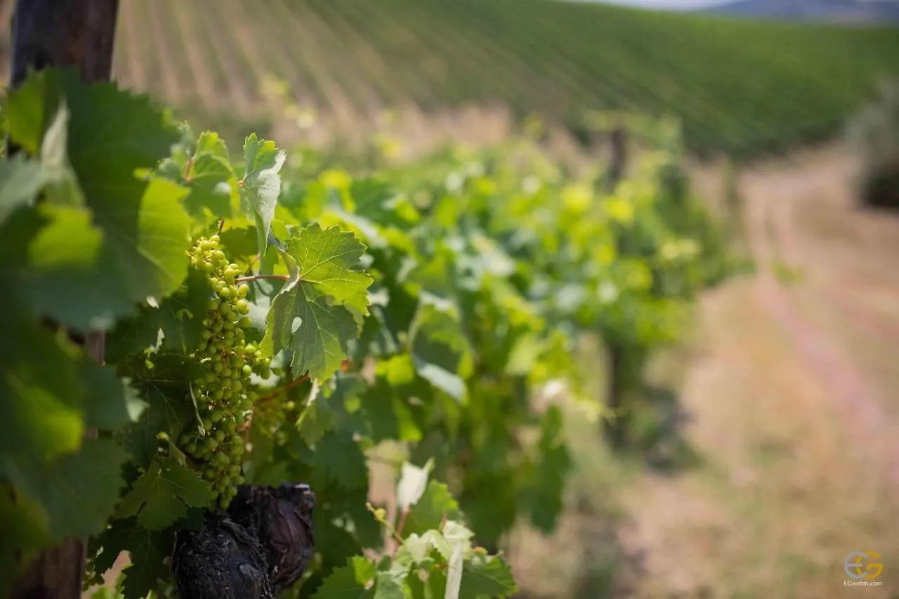 Farm stay Terre Di Melazzano - Le Case Di Patrizia Greve in Chianti