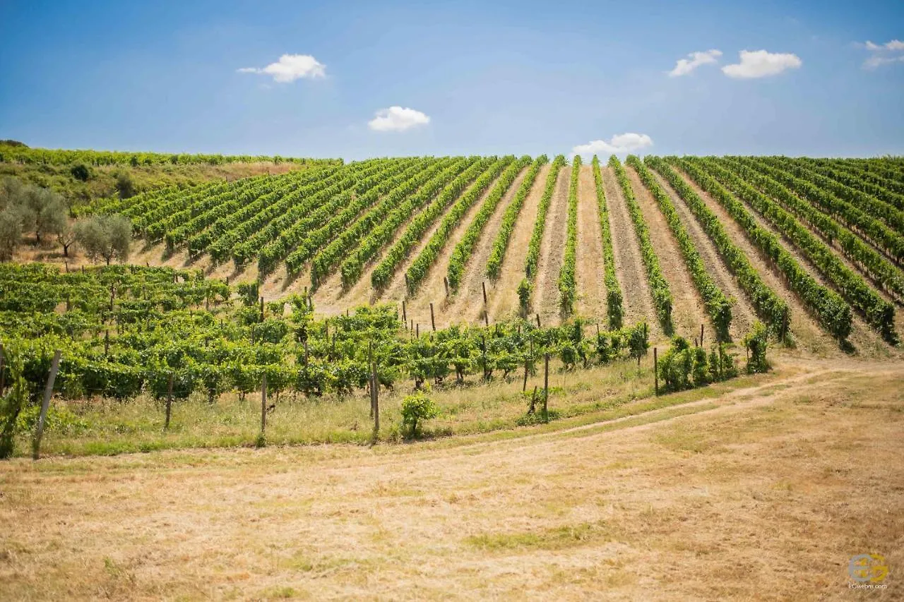 Terre Di Melazzano - Le Case Di Patrizia Greve in Chianti Farm stay